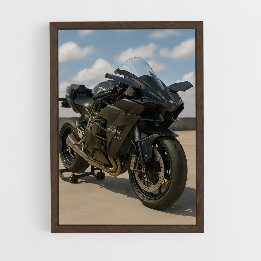 Poster Ninja héroïque (vue 5)